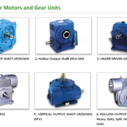 Elecon worm gear